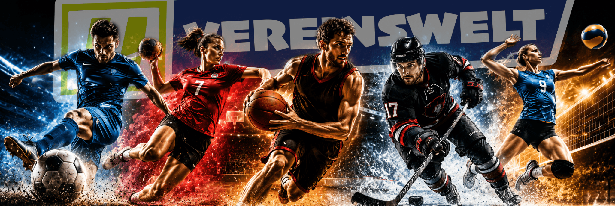 Vereinswelt Teamsport: Fussball, Handball, Basketball, Eishockey und Volleyball
